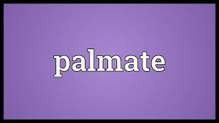 Palmate Meaning [upl. by Ahsinehs382]