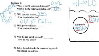 Diffusion Osmosis Practice Problems [upl. by Drofdarb]