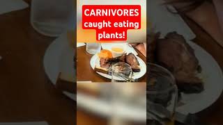 CARNIVORES caught eating plants carnivore carnivorediet ketodiet [upl. by Talbott]