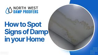 Stop Damp Before It Destroys Your Home [upl. by Sims]