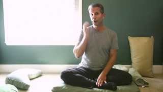 Dealing with Pain in Sitting Meditation [upl. by Dene825]