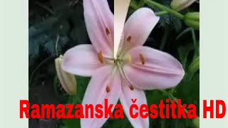 Ramazanska čestitka HD [upl. by Arondell]