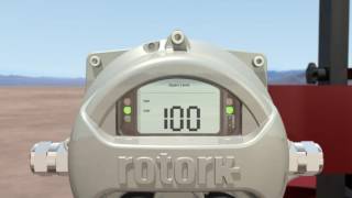 Rotork ELB with GasOverOil Actuators [upl. by Ursula]