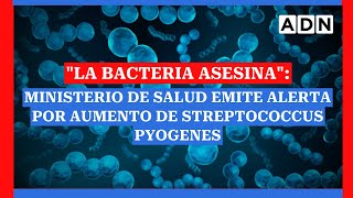 quotLa bacteria asesinaquot Ministerio de Salud emite alerta por aumento de Streptococcus pyogenes [upl. by Acissaj]