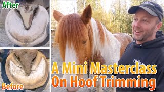 A Mini Masterclass On Horse Hoof Trimming With Lena [upl. by Nolte]