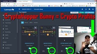 How To Trade Crypto amp Profit Using A CryptoHopper Bunny Trading Bot  Settings [upl. by Iraam]