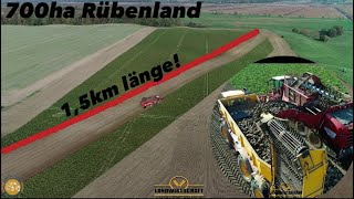 700ha Rübenland amp 15km länge Agrarservise Rügen Zuckerrübe satt Gülle Vredo Rüben Überladeaufbau [upl. by Elmo879]