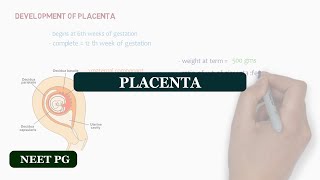 Placenta  NEET PG notes [upl. by Anatsirhc]