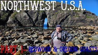 Northwest USA  Part 14 REDWOOD amp OREGON COASTS [upl. by Prissie109]