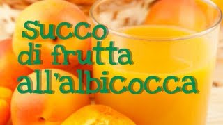 SUCCO DI FRUTTA ALLALBICOCCA FATTO IN CASA DA BENEDETTA  Natural Homemade Apricot Juice [upl. by Imelda636]