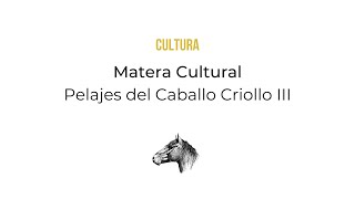 CULTURA Matera Pelajes del Caballo Criollo III Diluciones e intensificaciones Particularidades [upl. by Einial]