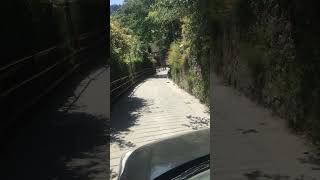 Mussoorie  Queen of the hills  narrowest road ever shorts viralvideo tourism mussoorie beauty [upl. by Adebayo]