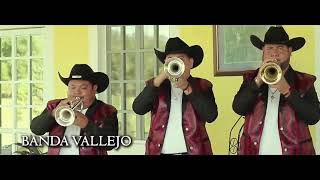 Banda Vallejo quotCelebrandoquot Vídeo Oficial 2021 [upl. by Romilly204]