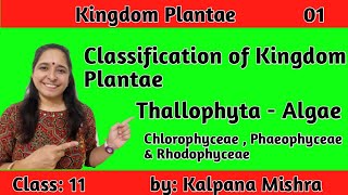 KINGDOM PLANTAE 01  CLASSIFICATION OF KINGDOM PLANTAE THALLOPHYTA CLASS 11 [upl. by Htezil869]