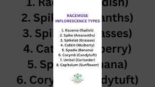 Types of Racemose Inflorescence and their examples biologybloom [upl. by Eirased]