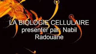 Biologie Cellulaire LES ORGANITES CELLULAIRE [upl. by Fasano]