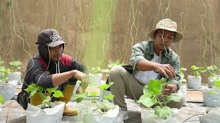 Usahawan Agropreneur Muda by UAM  Tanaman [upl. by Cassell]