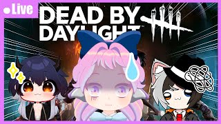 Dead by Daylight Jogando com os amigos  collad [upl. by Herold269]