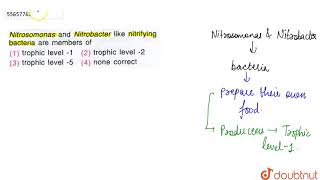 Nitrosomonas and Nitrobacter like nitrifying bacteria are members of [upl. by Bertha]