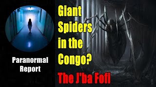 Gigantic Spider of the Congo  The Jba Fofi [upl. by Roswald]