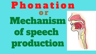 Speech production Phonation mechanism involved in speech production [upl. by Aney]