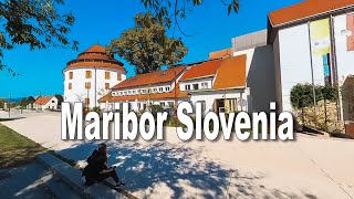 Exploring Maribor Slovenia  A Scenic Walk Along the Drava River [upl. by Hafital]