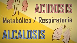 🧪 Entendiendo la Acidosis y Alcalosis Respiratorias y Metabólicas 🧪 [upl. by Eugen]