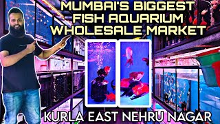 MUMBAI BIGGEST AQUARIUM FISH WHOLESALE MARKET 🐠🐟 KURLA EAST NEHRU NAGAR ALL TYPE OF FISH AVAILABLE [upl. by Etterual]