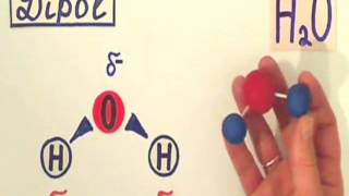 Chemie Dipol leicht erklärt [upl. by Curhan]