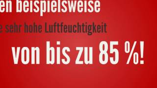 Gewächshausklima – Die optimale Luftfeuchtigkeit [upl. by Castillo]