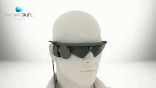 Second Sight  Argus II Retinal Prosthesis System Bionic Eyes Simulation 480p [upl. by Renner547]