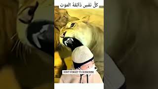 Kullu nafsin zaikatul Abdul Rahman Mossad quran youtubeshortsviralvideo [upl. by Notnef]