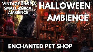 🎃Enchanted Pet Shop Ambience  Birds Animals amp Old Fashioned Shop  Halloween ASMR [upl. by Jessamine]