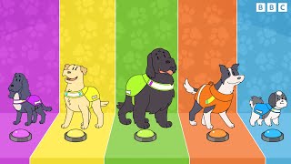 Meet the Dog Squad 🐾 Songs  CBeebies [upl. by Maure]