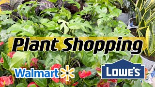 Plant Shopping at Walmart and Lowe’s [upl. by Ardnak456]