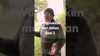 🌿 Wildplukken met Johan  Deel 3🌿 [upl. by Halyhs89]