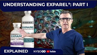 Understanding Liposomal Bupivacaine Exparel® Part I  Crash course with Dr Hadzic [upl. by Yorle]