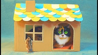 Ein Kartonhaus für Katze selbst gemacht [upl. by Andert]