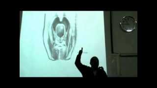 Dr Sherif Glal Neck 14  muscles of pharynx part 2 [upl. by Yadahs]