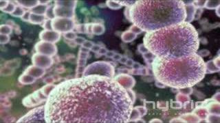 Streptococcus Pneumoniae Hybrid Medical Animation [upl. by Tory]