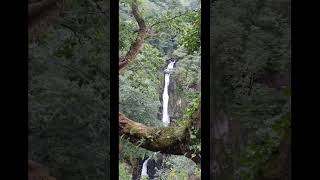 Conwy falls we love looking for waterfalls on our Journeys 🤗 [upl. by Airrej]