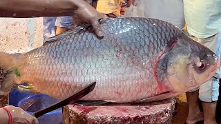 Incredible Big Katla Fish Cutting Skills Live In Fish Market  Fish Cutting Skills [upl. by Skcirdnek]