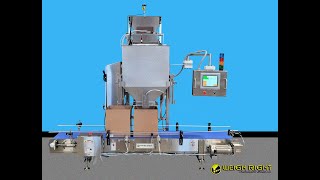 Weigh Rights BDC3601 belt feed bulk filler scale and our HC10 carton indexing conveyor [upl. by Irdua]