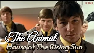 Soft Rock  House of The Rising Sun  Song Music and Lyrics  The Animals [upl. by Naihtniroc81]