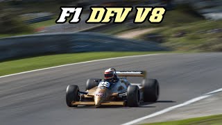 FIA F1 Masters Zandvoort 20152018  Cosworth DFV V8 sounds [upl. by Chrotoem361]