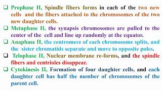 Phases of Meiosis Divisions [upl. by Aehsa]