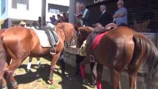 IV Passeio Equestre Anual da quotA Quintinhaquot [upl. by Cochran]