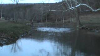 PA Late Season Duck Hunting January 2012 [upl. by Roid]