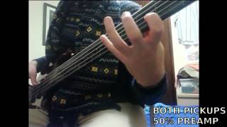 PEDULLA PENTABUZZ  CHORDS  5 STRING FRETLESS BASS [upl. by Gerlac478]