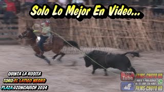 TORO EL LATIGO NEGRO EN LA FIESTA TRADICIONAL DE DZONCAUICHYUCATAN 2024 [upl. by Kciderf]